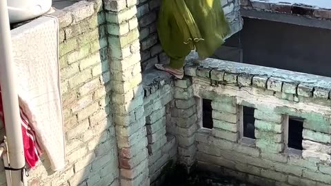 Escaping the thief