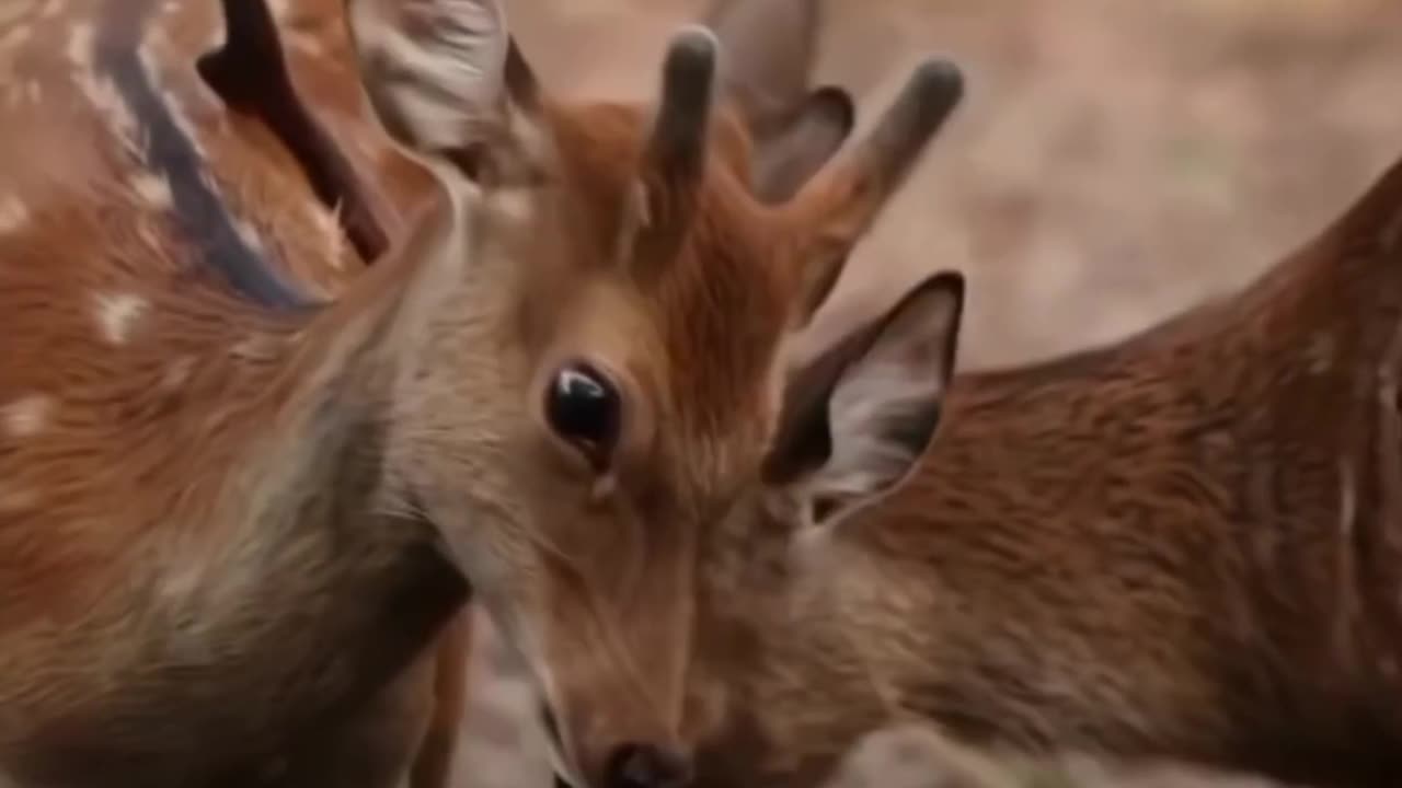 ❤️❤️❤️