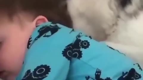 Baby Growing up With a Love of Dog #shorts #viral #shortsvideo #video