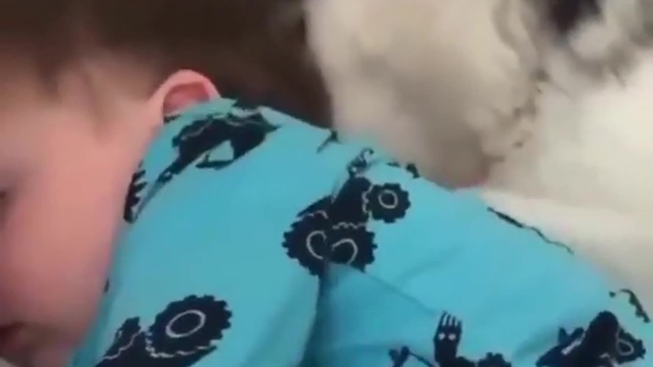 Baby Growing up With a Love of Dog #shorts #viral #shortsvideo #video