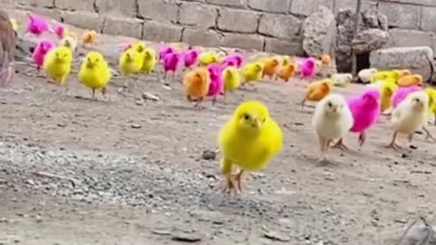 hydraulic machine jugadu #short3d #funnyvideo