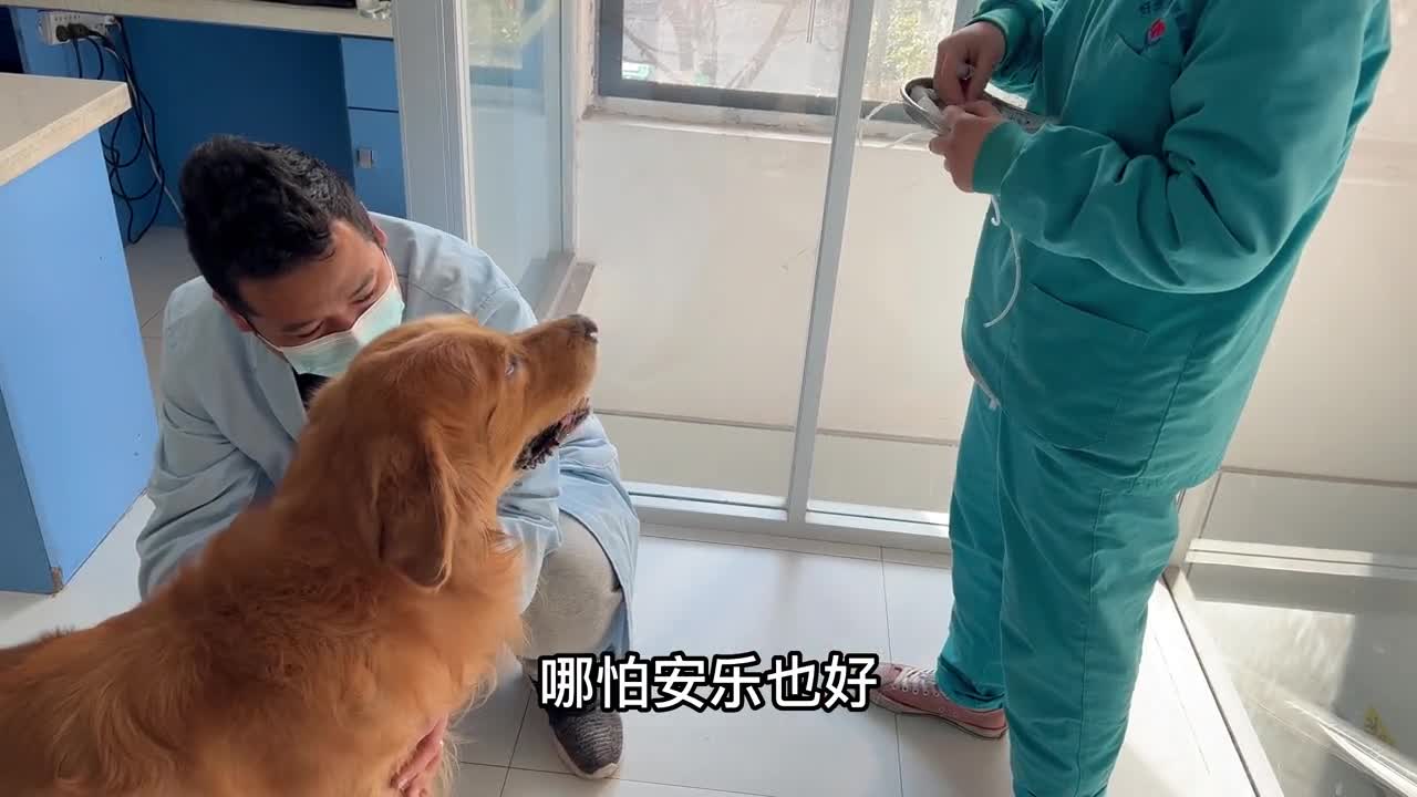10-year-old Jing-ba was thrown into a trash can by his owner