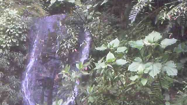 Heading up waterfall 40 mins up river behind Pan de Azucar