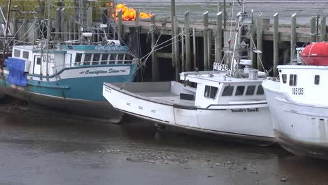 Canada Nova Scotia Boats Tied To Dock At Low Tide Pan