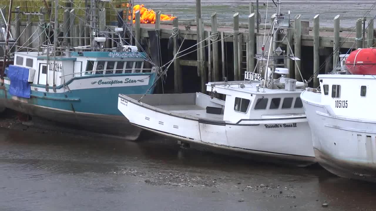 Canada Nova Scotia Boats Tied To Dock At Low Tide Pan