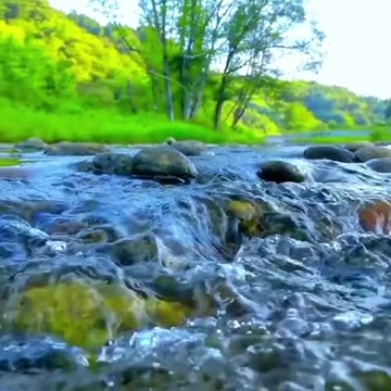 Nature's Serenity: A Scenic View of Flowing Water in the Wilderness