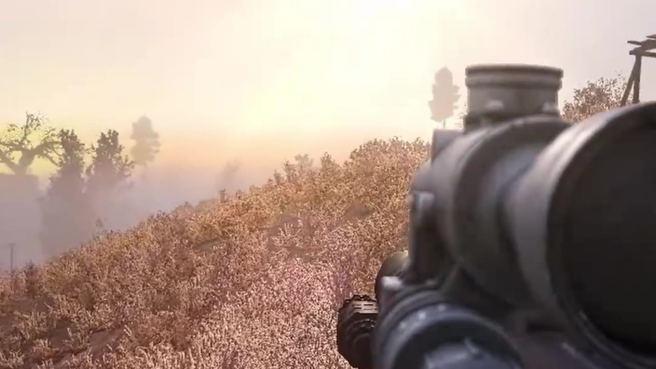S.T.A.L.K.E.R. GAMMA