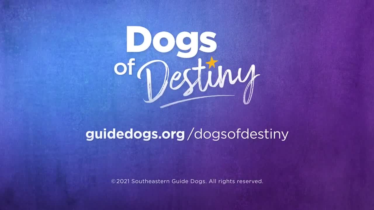 Something to prove__Dogs of destiny