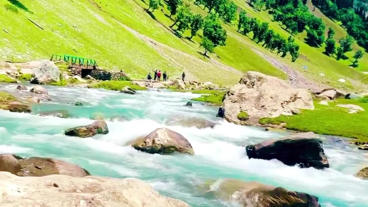 Beautiful view