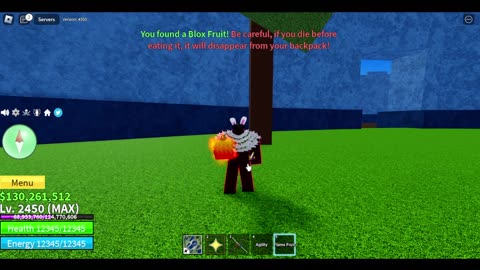 I Found Flame Fruit In Blox Fruits!