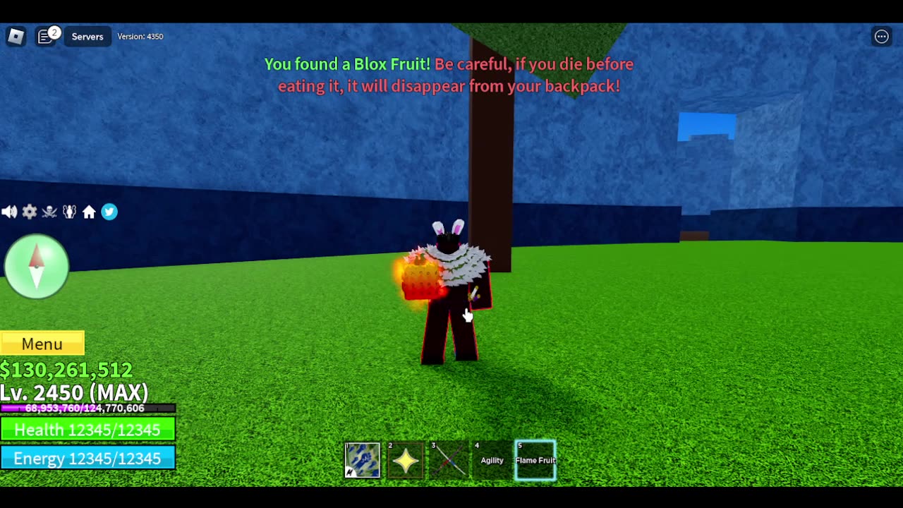 I Found Flame Fruit In Blox Fruits!
