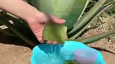 Beauty good