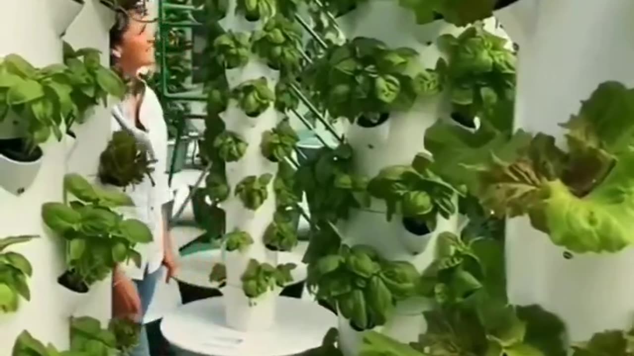 The future of farming #hydroponics
