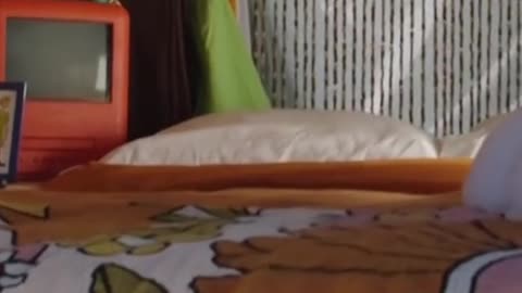 Spend a Night in theMystery Machine