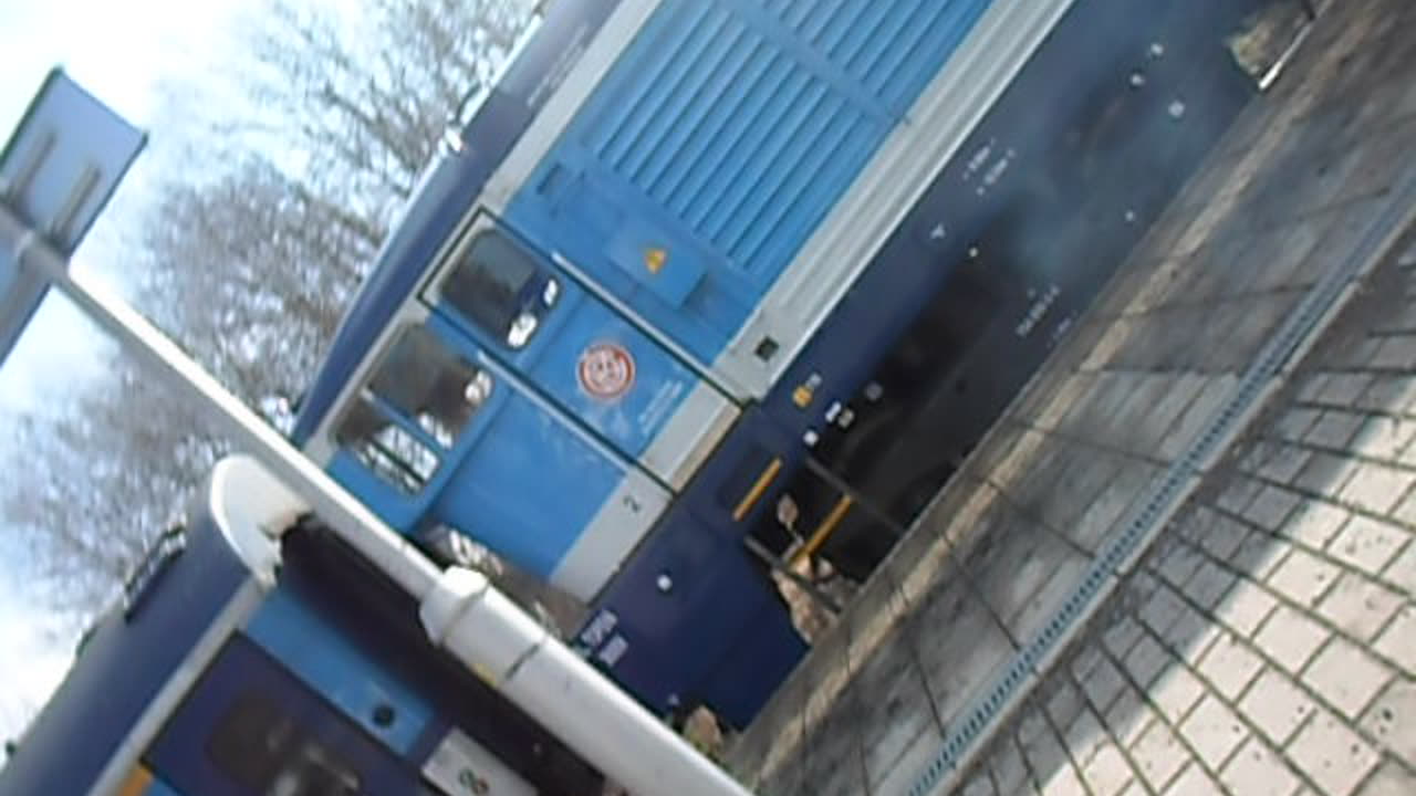 SAM_2711 - Ceske Vlahý