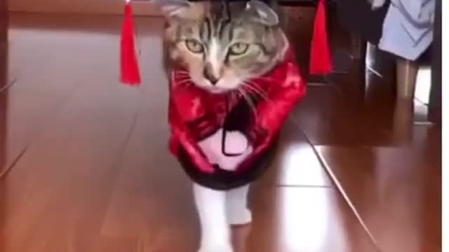 Catwalk in Reality