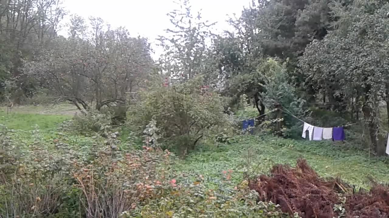 Uprawa róż