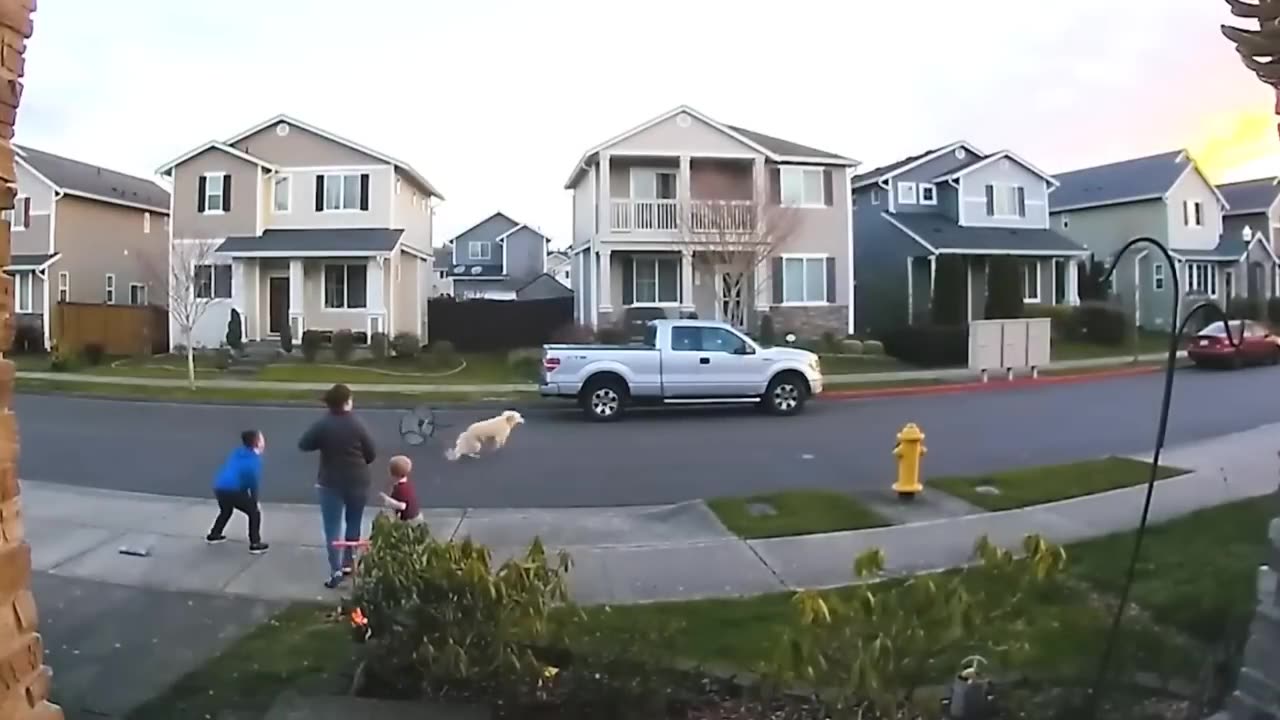 TRY NOT TO LAUGH 😆 Best Funny Videos Compilation