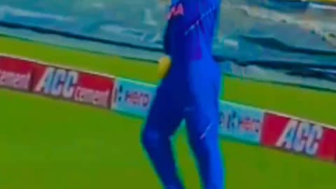 cricket highlights