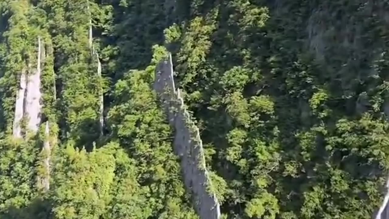 Amazing vibes in this world please like and follow me please