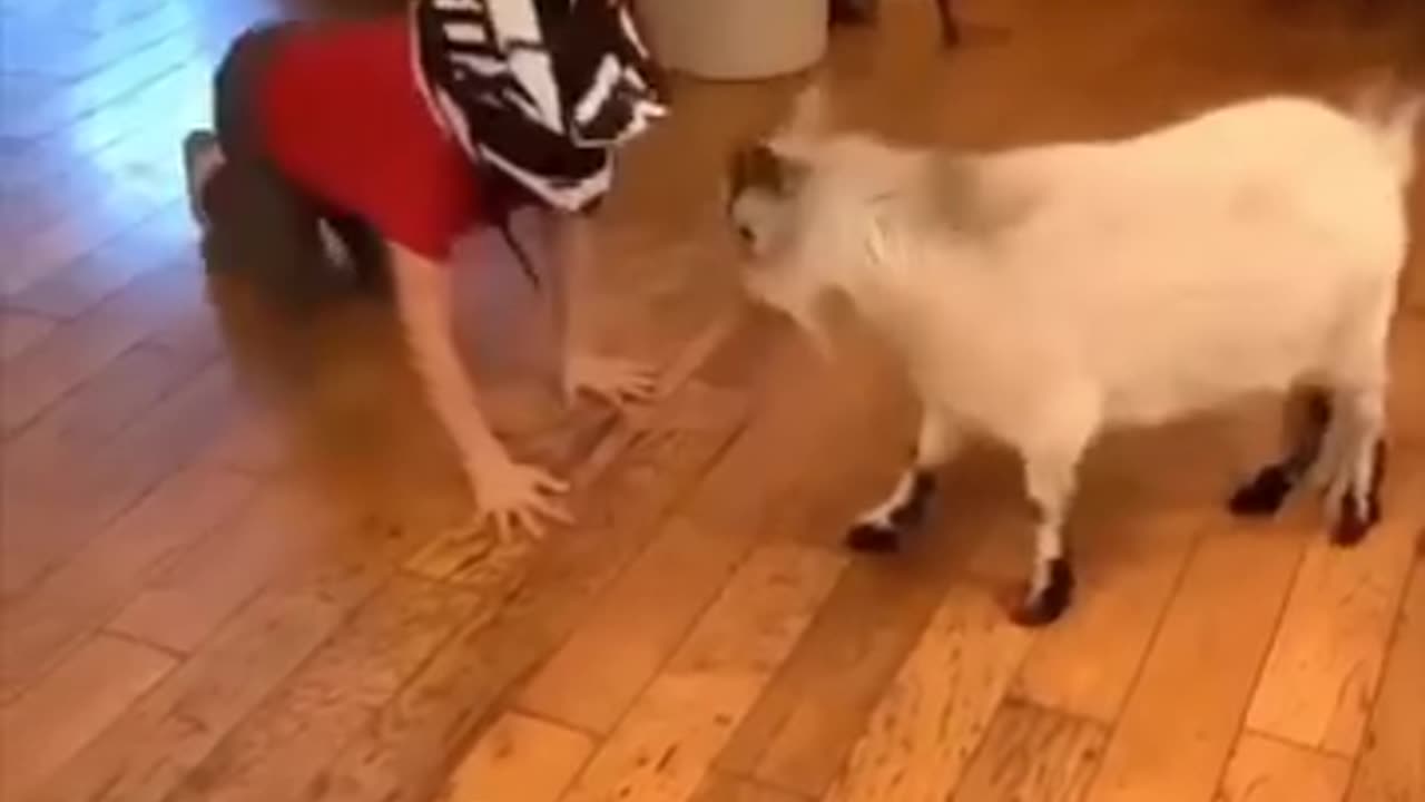 Funny 🤣