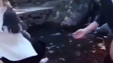 funny video