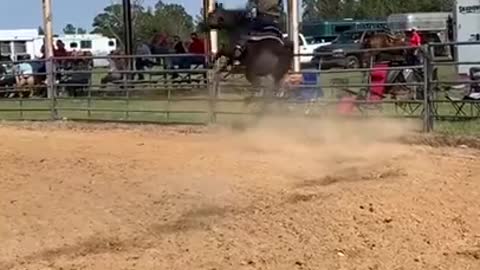 Man Gets Thrown Off Of Horse While Riding On It During a Game