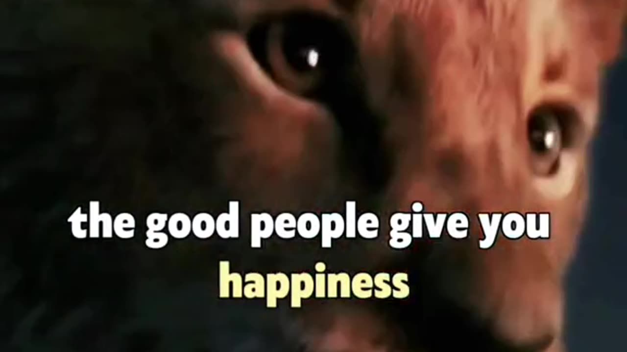 Motivation video