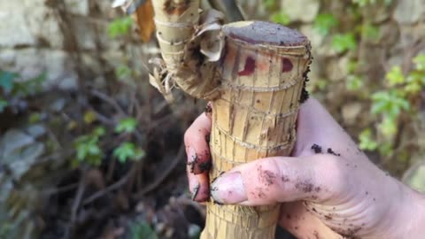 2023-04-16 (2) - Rerempotage - Twitch Meutemediatique