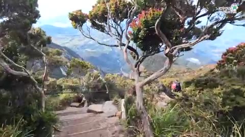 Amazing Places to visit in Malaysia