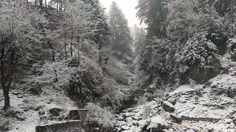 Sweetness with steady beauty of Himachal. ,,Gaadi fans gyi