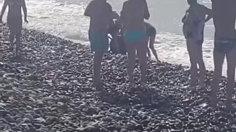 People are pulling a sea mine out on the beach