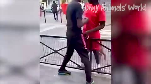 Funny videos