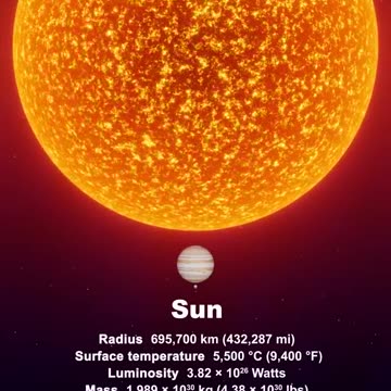 SUN vs. The Largest Star In The Universe