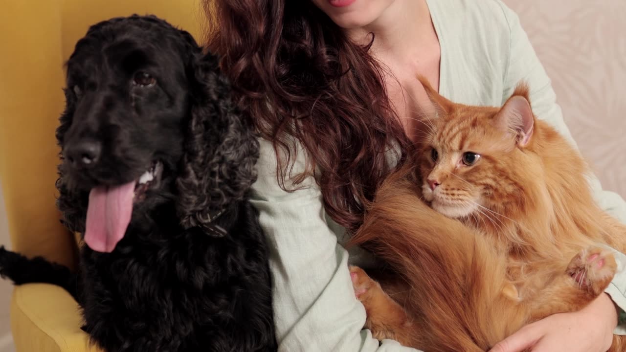BEAUTIFUL GIRL WITH DOG AND CAT