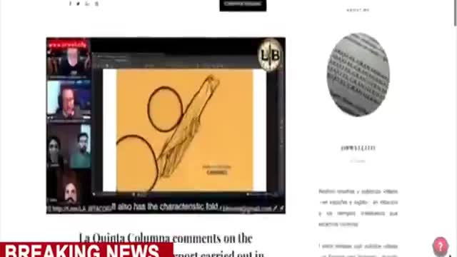 Pfizer's Criminal Activity