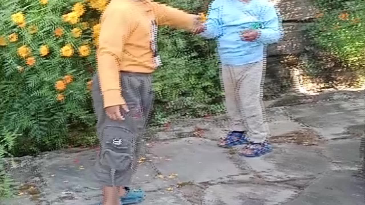 pratham pokharel