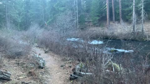 Starting Our Exploration of Metolius River – Central Oregon – 4K