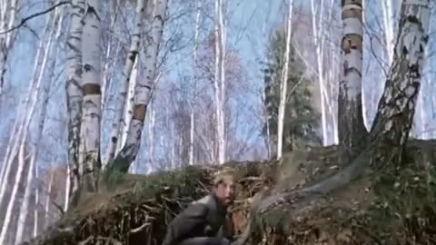 Funny Video