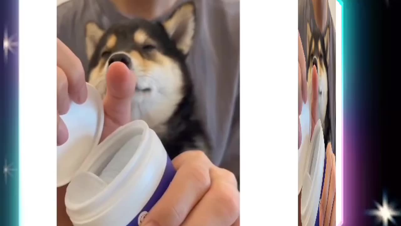 "Pampering Paws: Doggy Mani-Pedi Day!"