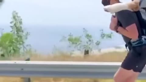 Adventure doggo spotted in the Wild