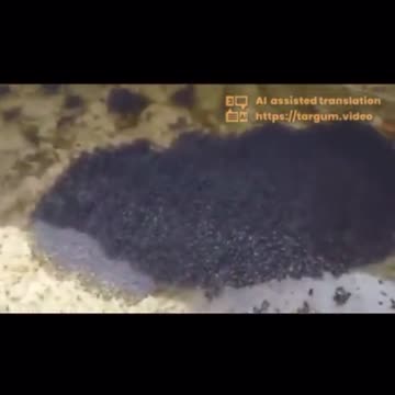 "Graphene oxide powder" accumulated on the balcony of a house after rain in France📍❗️✈️