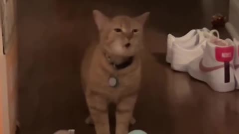 Rehearsing my lines 😂