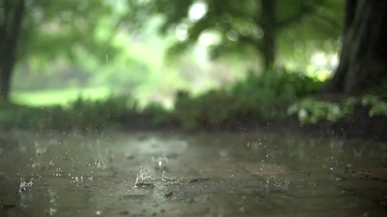 [Slow Motion] Rain Stock Footage _ No Copyright Video _ Royalty Free