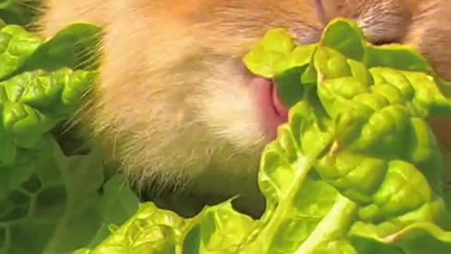 Preciso aprender com ele a me alimentar de forma saudável 🥰😁