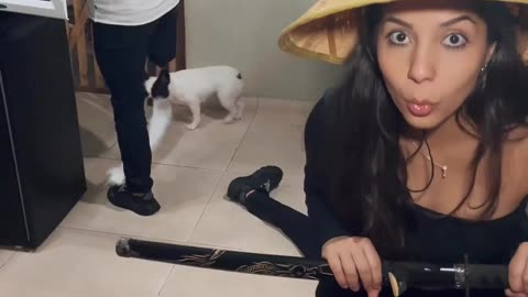Funny video