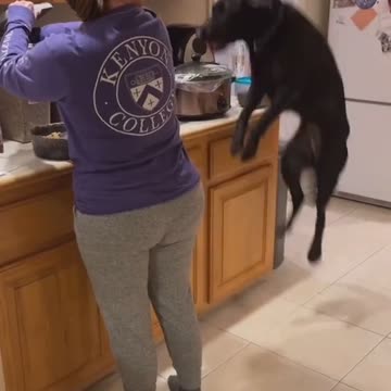 jump for joy food i destroy