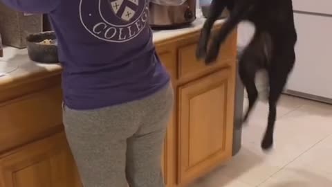 jump for joy food i destroy