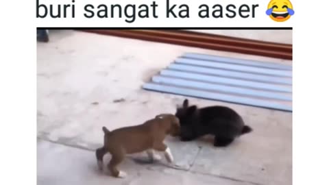 Funny 🤣🤣🤣