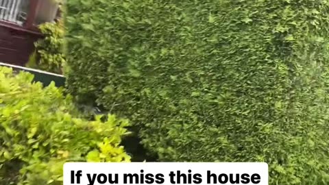 Man Puts His Door Number On His Shrubbery